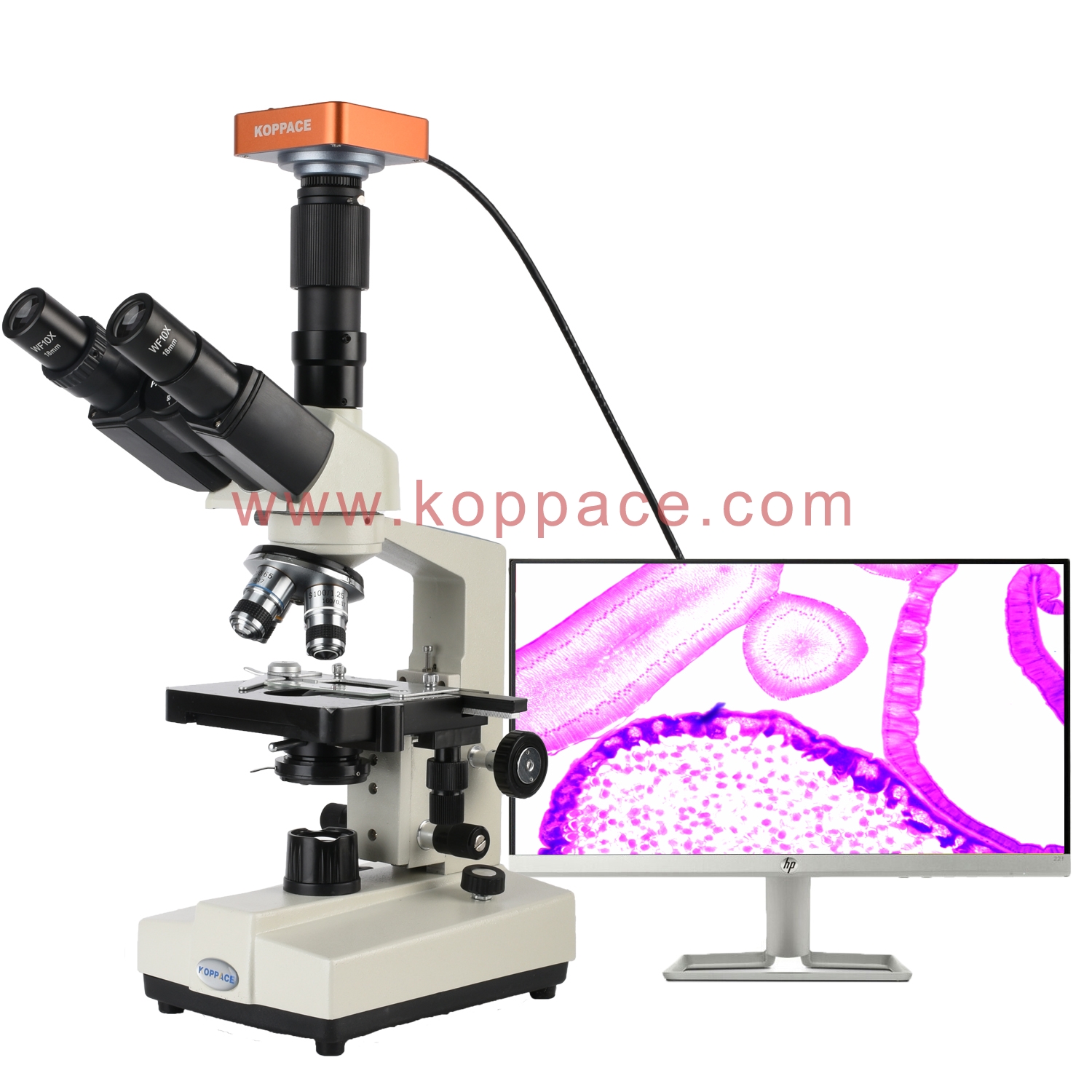 KOPPACE 40X-1600X HDMI Biological Microscope Take Pictures Videos and ...