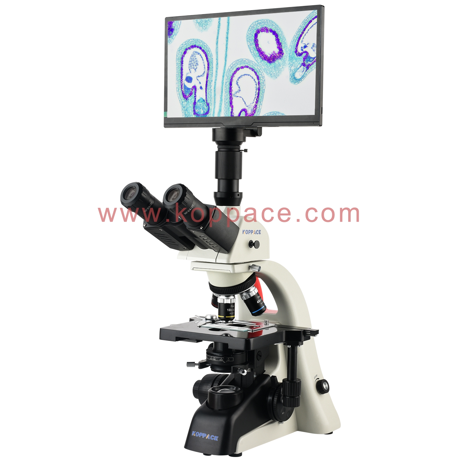 KOPPACE 40X-1600X Electron Compound Lab Microscope 5 Million Pixels 11. ...