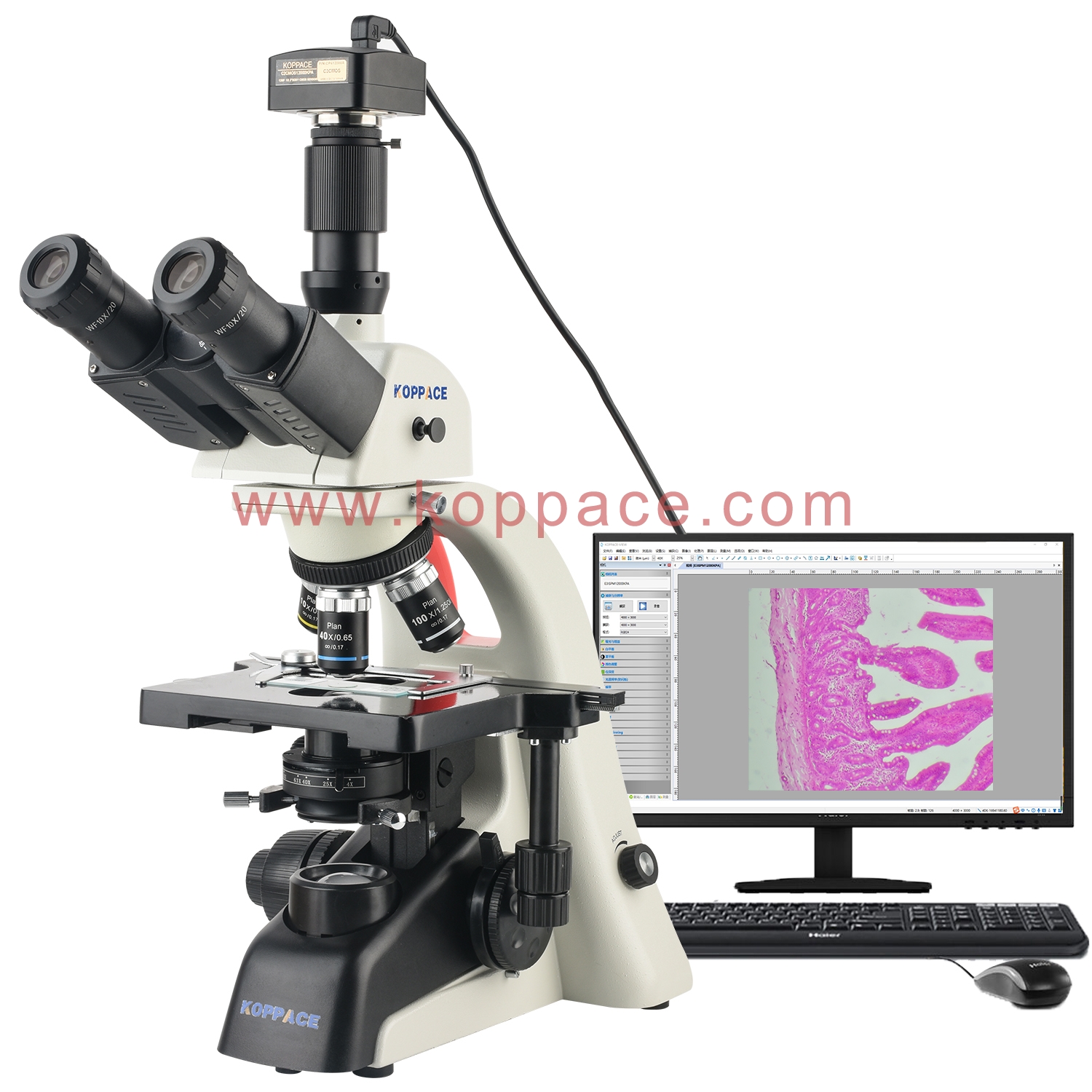 KOPPACE 40X-1600X Trinocular Compound Lab Microscope12 Million Pixels ...